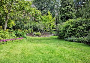 Optimiser l'expérience du jardin à Morgny-la-Pommeraye